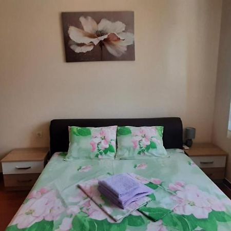Apartmants Alexander Daire Kotor Dış mekan fotoğraf