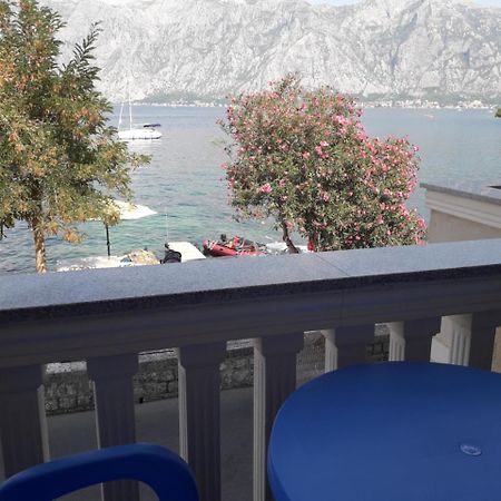 Apartmants Alexander Daire Kotor Dış mekan fotoğraf
