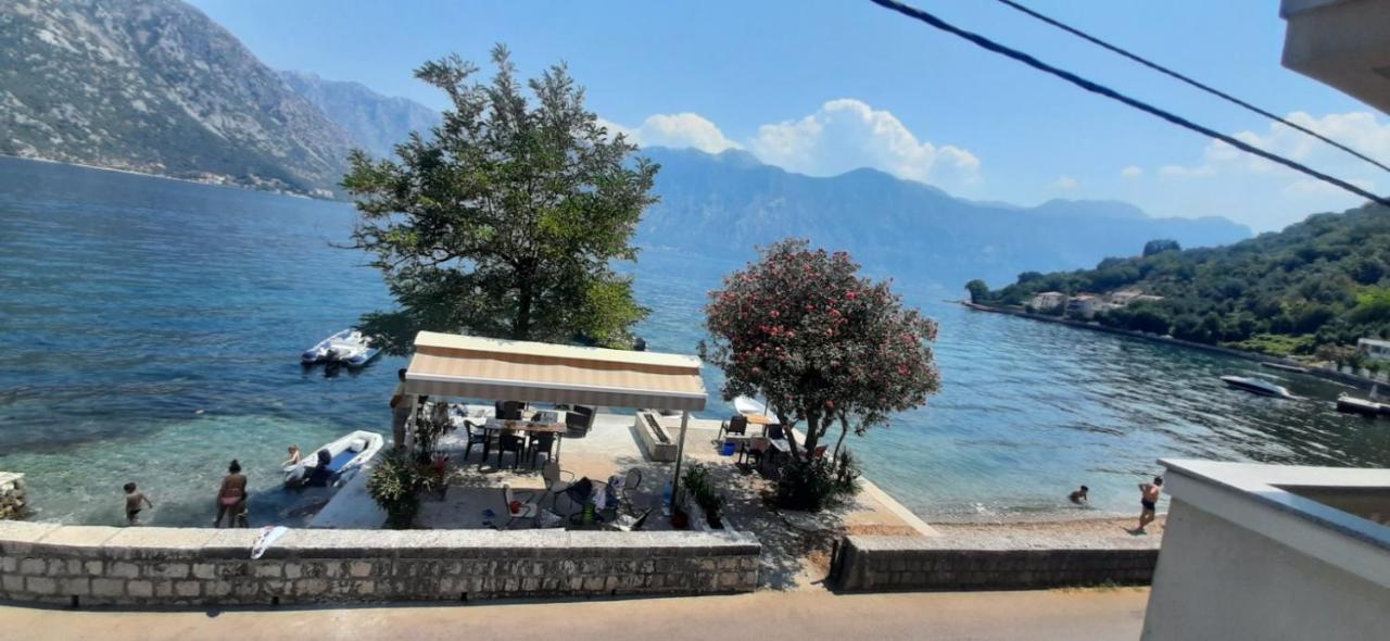 Apartmants Alexander Daire Kotor Dış mekan fotoğraf