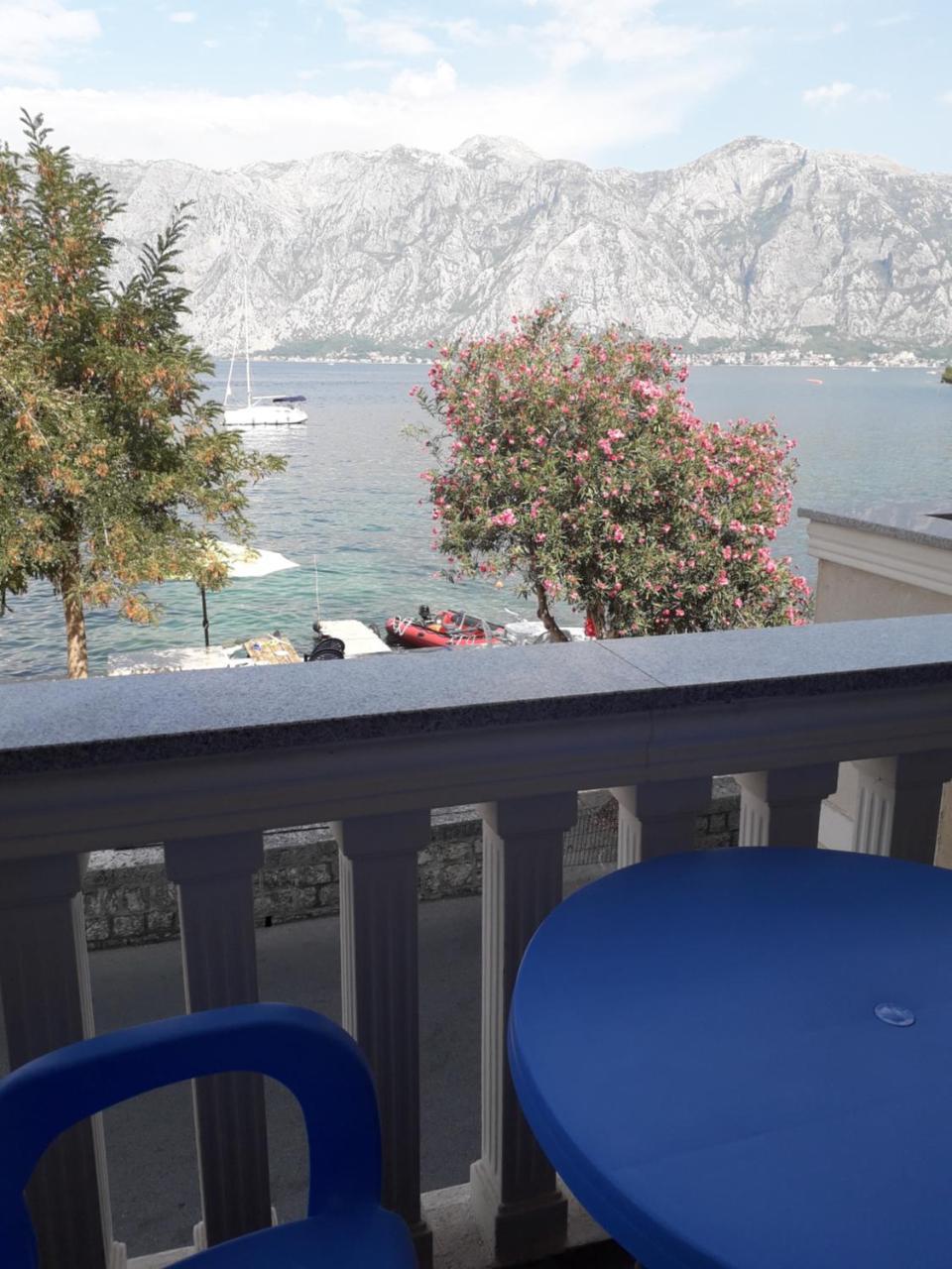 Apartmants Alexander Daire Kotor Dış mekan fotoğraf