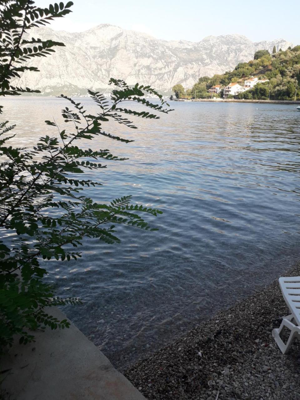 Apartmants Alexander Daire Kotor Dış mekan fotoğraf