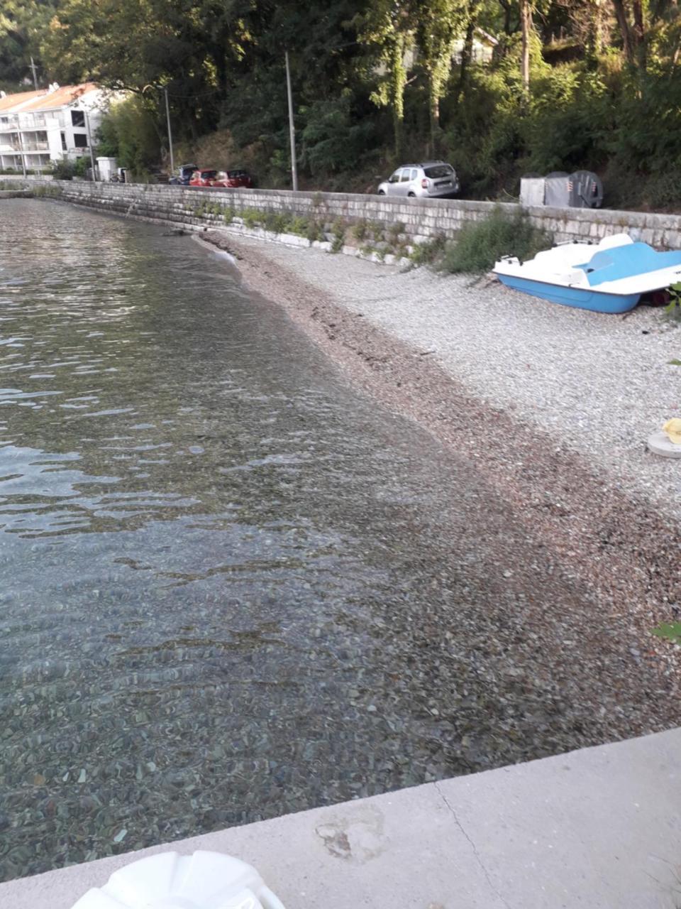 Apartmants Alexander Daire Kotor Dış mekan fotoğraf