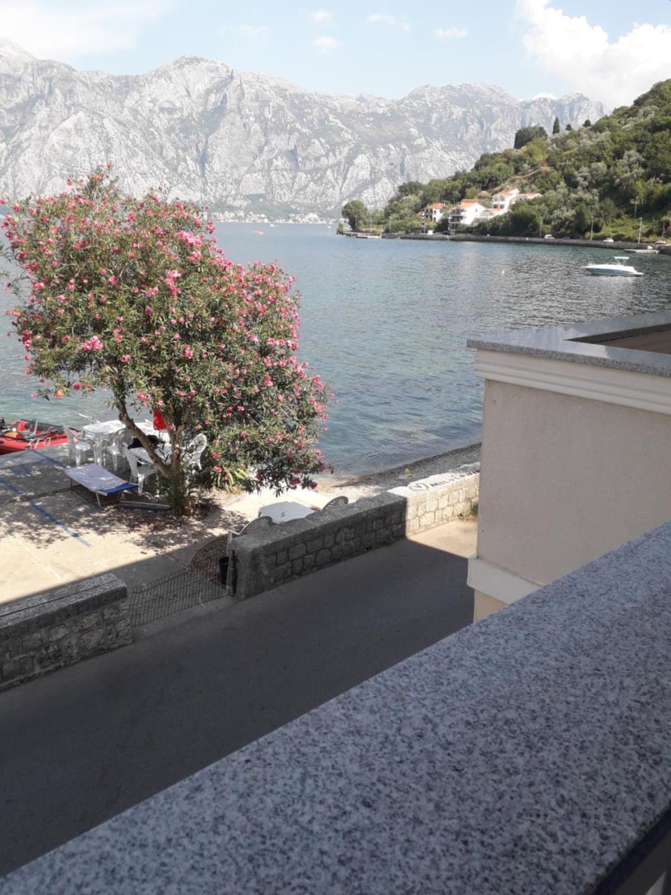 Apartmants Alexander Daire Kotor Dış mekan fotoğraf